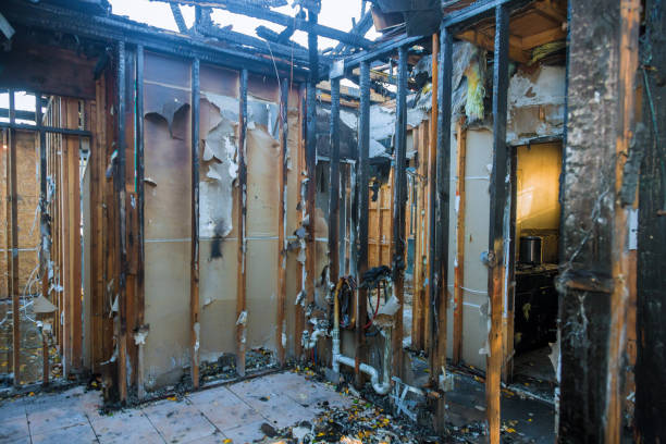 Professional Smoke Damage Removal technician working in Pella, IA